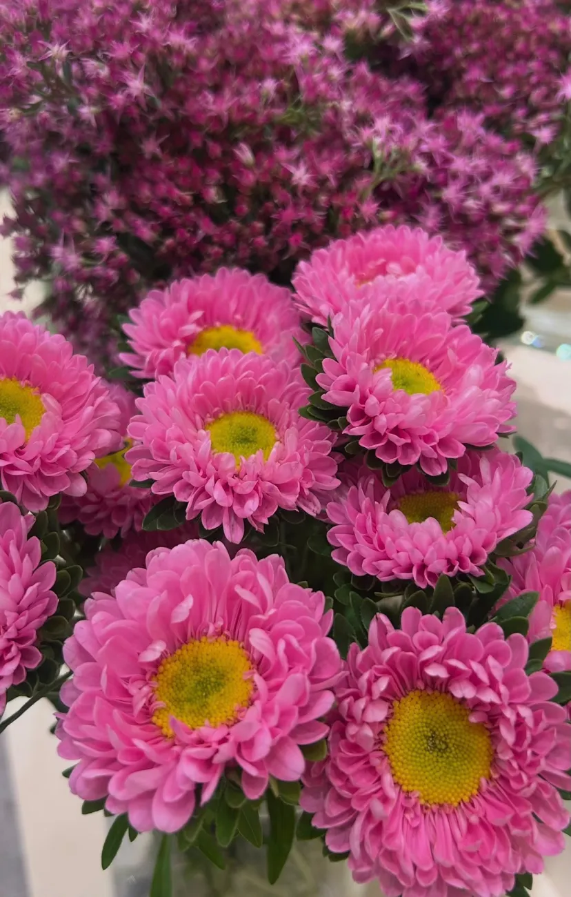 novinky bellesfleurs (7).jpeg